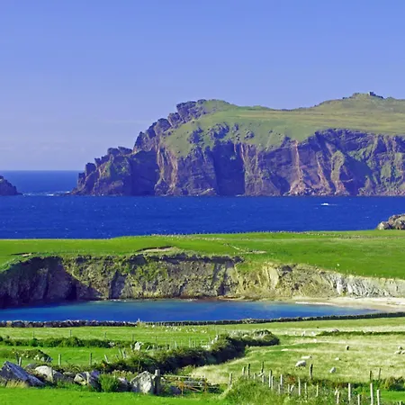 Отель Arbutus 4*